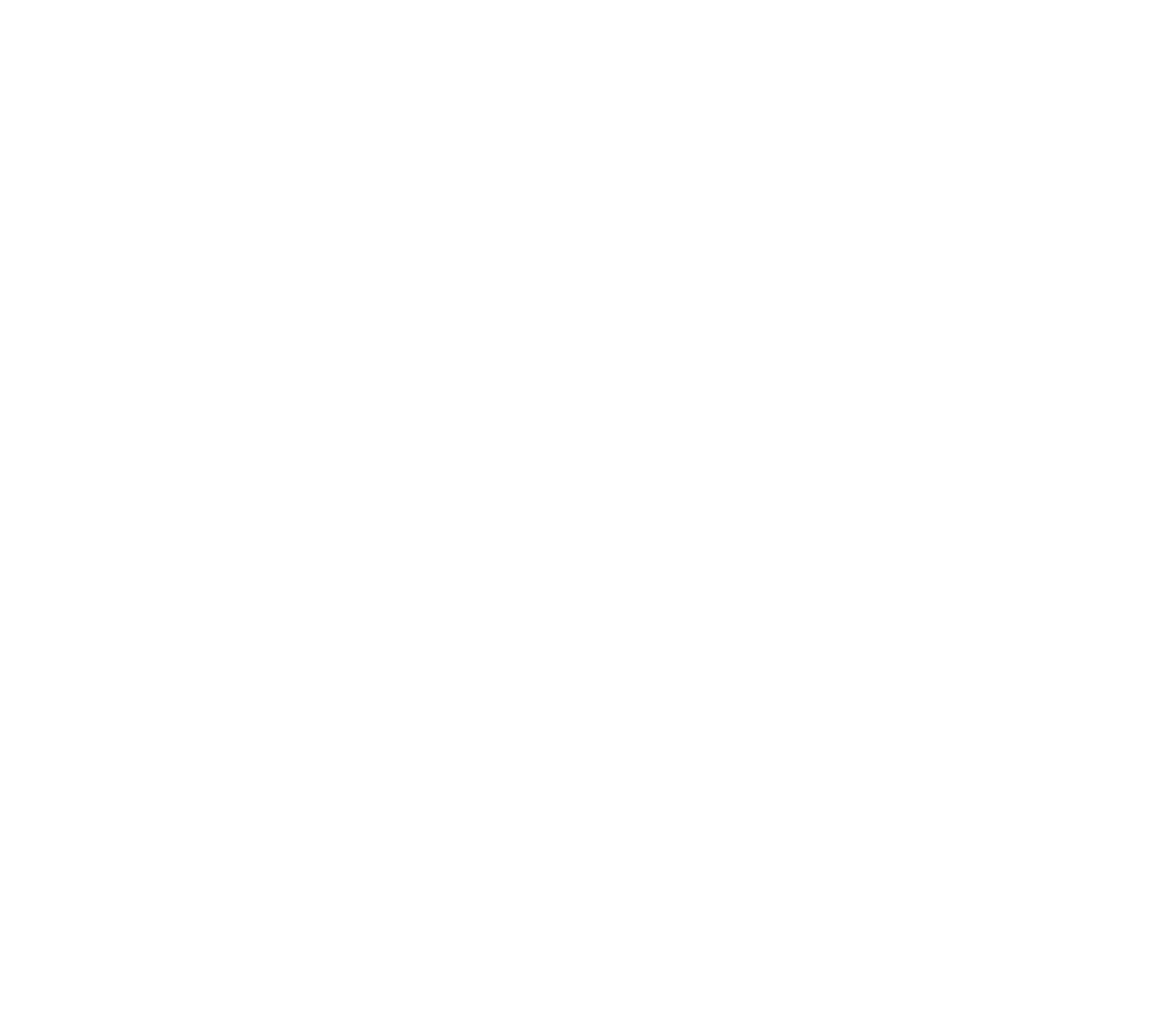 Ten-Nine Technologies logo